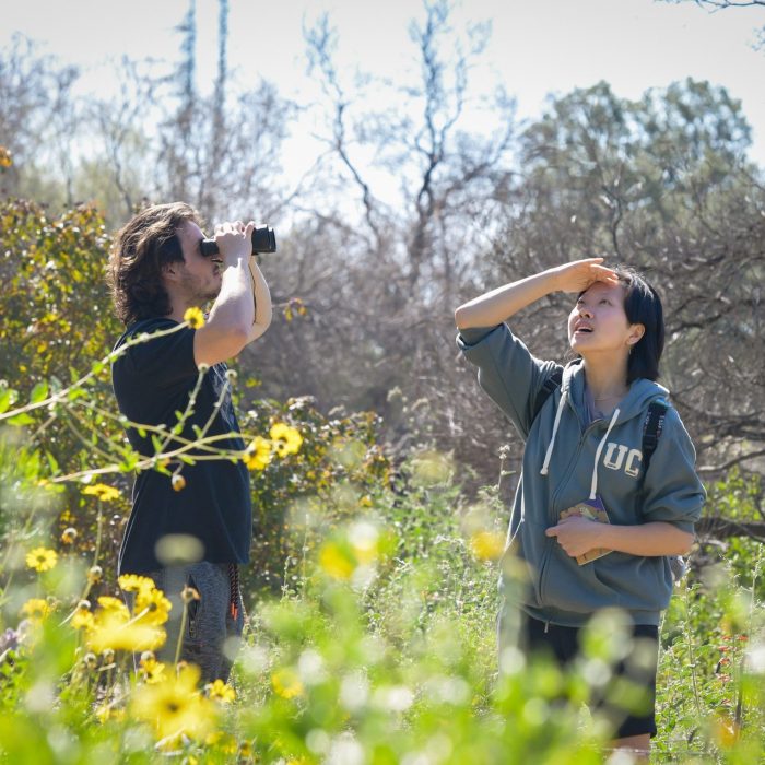 Families enjoy hiking and looking at nature. This is a spring break bucket list idea when visiting Claremont. 