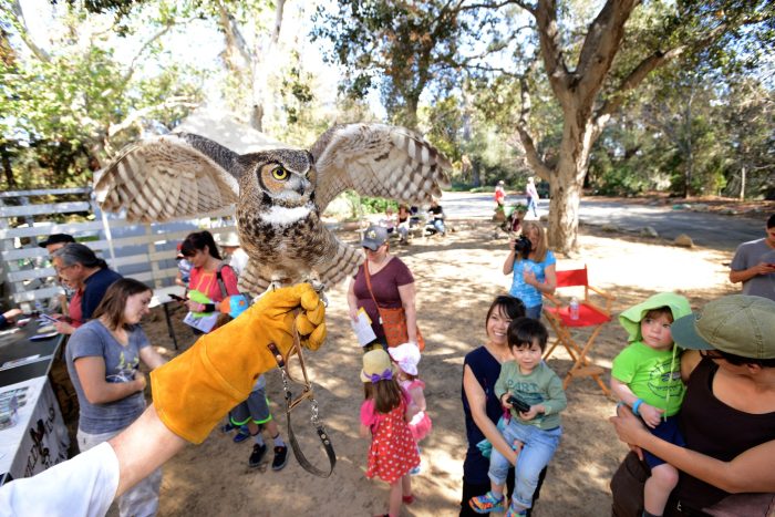 Kids and families learning about nature in Claremont for a spring break bucket list idea. 