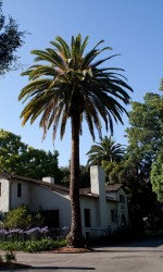 Garner House in Memorial Park Claremont CA