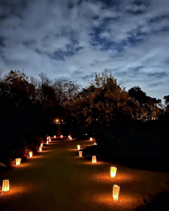 Luminaria Nights at the California Botanic Gardens in Claremont