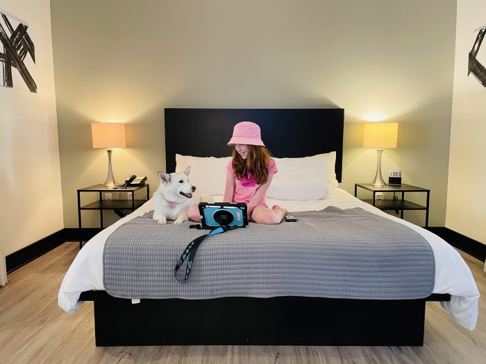 Girl sitting with white dog showing ipad on a bed in a pet-friendly hotel room in Claremont.