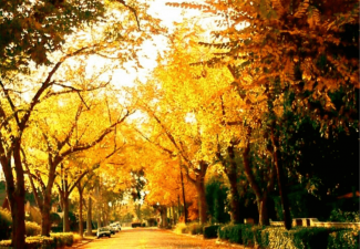 Your Complete Guide to Autumn in Claremont, CA.